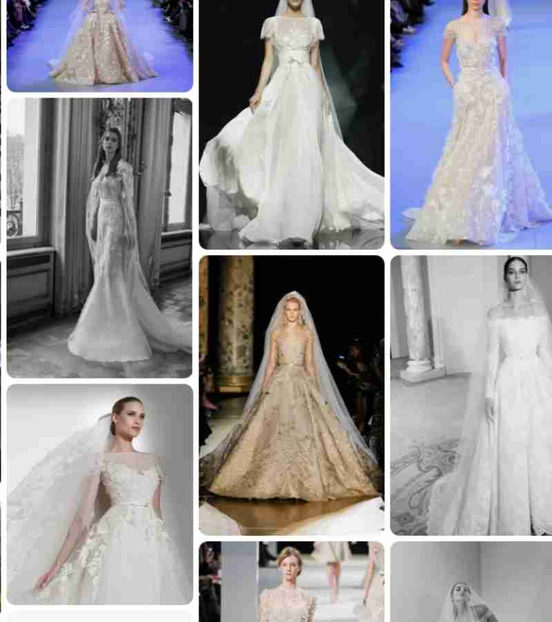 Elie Saab Wedding Dress 2024 | How much cost | who design