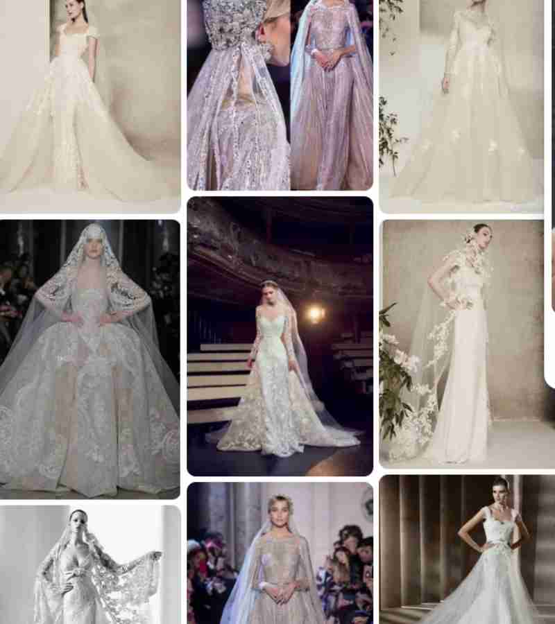 Elie Saab Wedding Dress 2024 How Much Cost Who Design?
